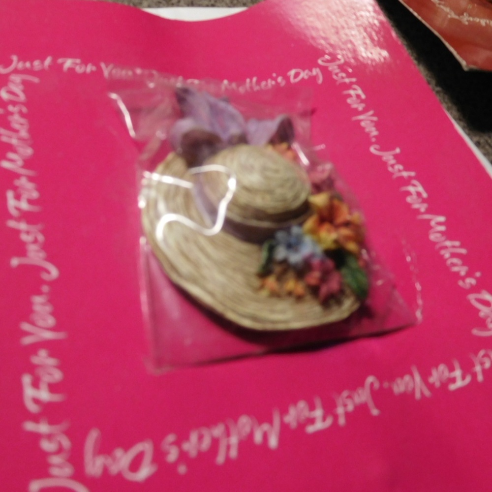 NEW AMERICAN GREETINGS MOTHER'S DAY PIN HAT + planner